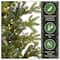 6.5ft. Pre-Lit Feel-Real® Norwegian Spruce Artificial Christmas Tree, Clear Lights